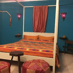 book here